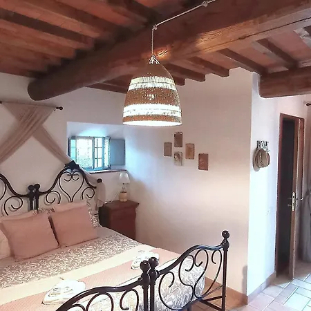 La Di Leda 3*