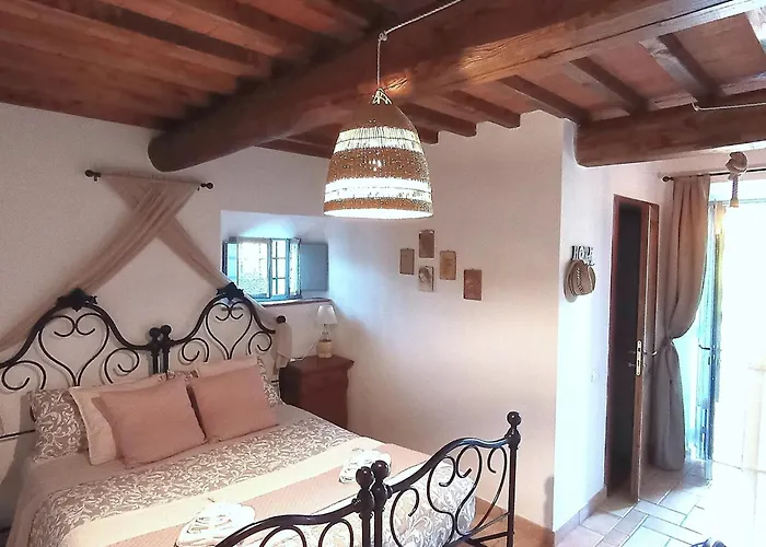 La Di Leda 3*
