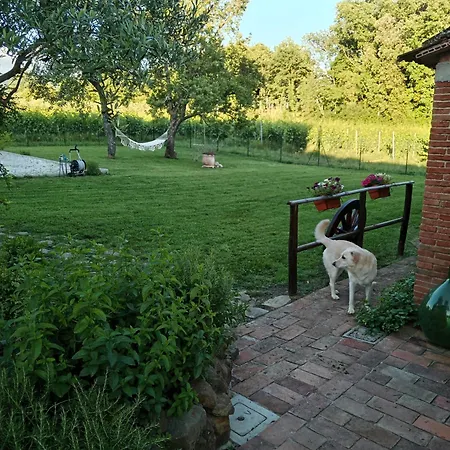 Casale - La Di Leda Guest house *