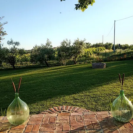 Casale - La Di Leda