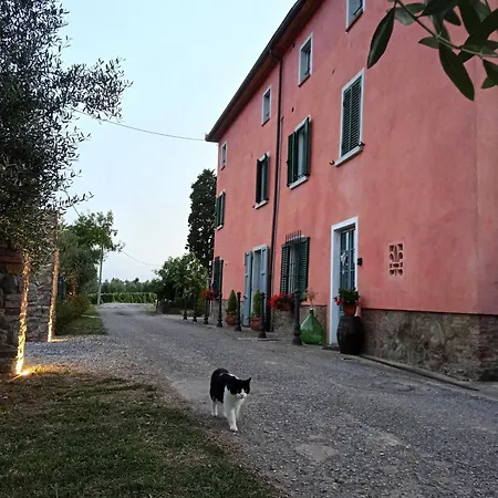 Casale - La Di Leda *