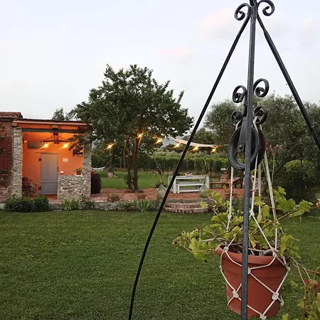 Casale - La Di Leda Lamporecchio