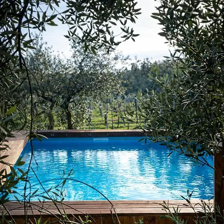 La Di Leda Πανσιόν Lamporecchio