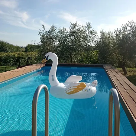 La Di Leda 3*