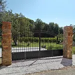 La Di Leda